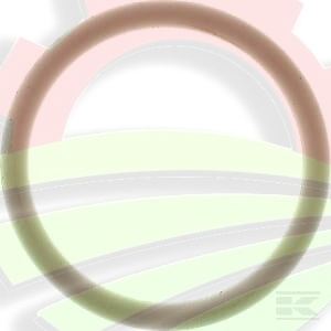 Pierścień uszczelniający