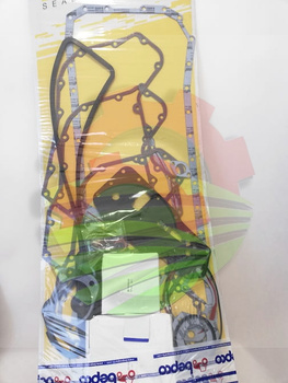 Zestaw uszczelek silnika dół Case