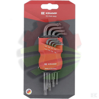 Zestaw kluczy trzpieniowych z kulką Torx® TX 9-40 8 ele.