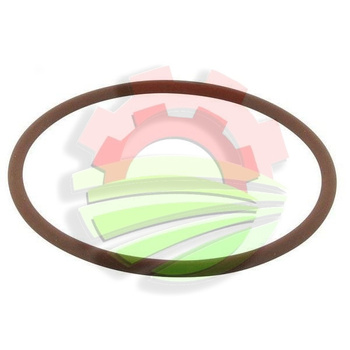 Oring uszczelniający 5,7X109,3 CASE INTERNATIONAL