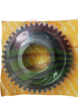 Koło stałego zazębienia Z21