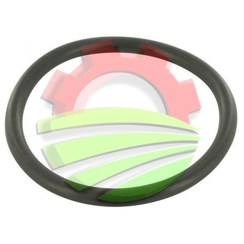Oring/pierścień uszczelniający 66x6 CASE INTERNATIONAL