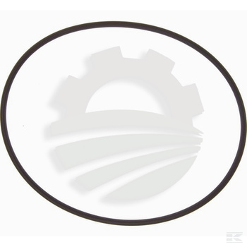 Pierścień uszczelniający