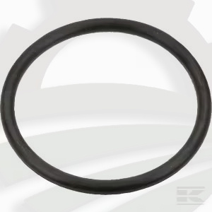 Pierścień uszczelniający o-ring Case IH