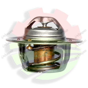 TERMOSTAT CASE 24600.79