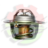 TERMOSTAT CASE 24600.79