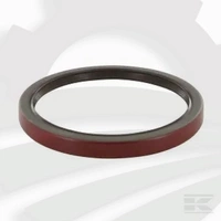 Pierścień uszczelniający, Case - IH